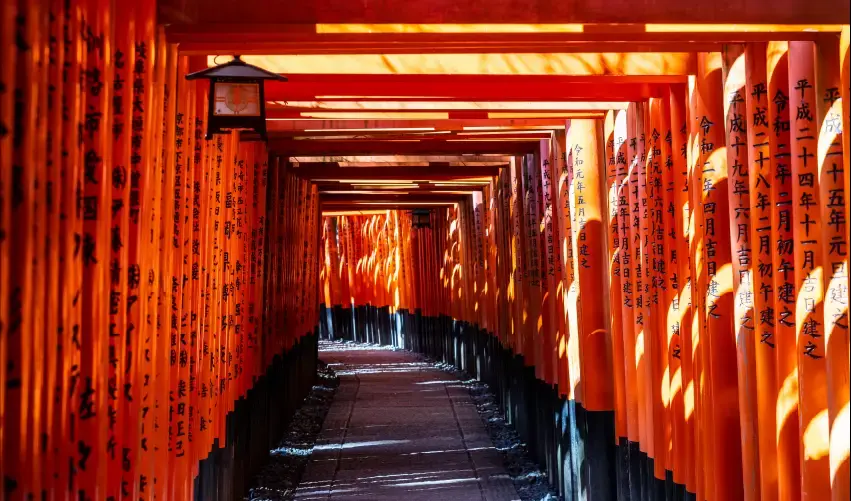 Viaje viaje-japon-tokio-kyoto-tvg-3709