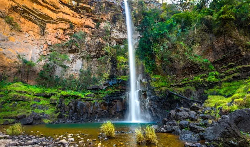 Viaje viaje-africa-sudafrica-johannesburgo-ciudad-cabo-esuatini-suazilandia-4760