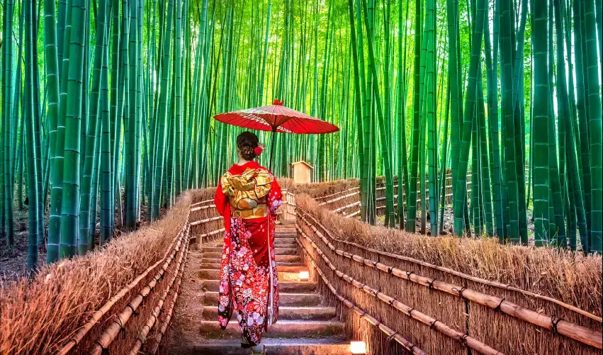 Viaje viaje-asia-tokio-seul-tvg-4930