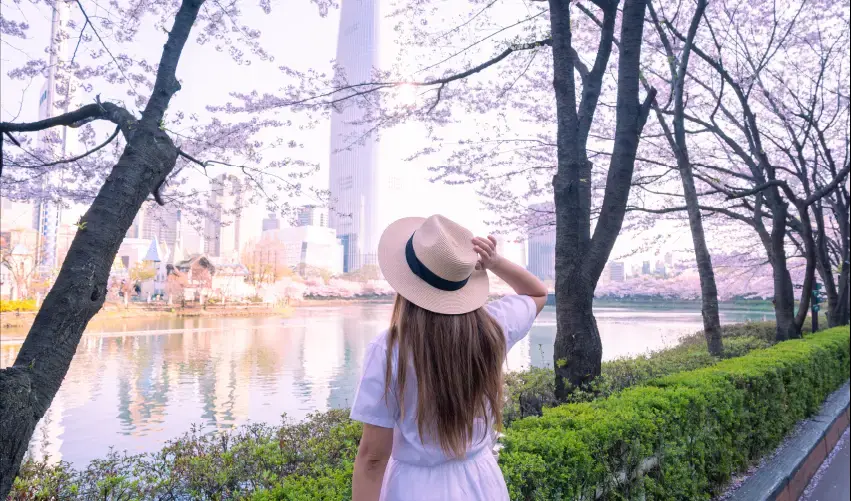 Viaje corea-seul-japon-tokio-tvg-5257